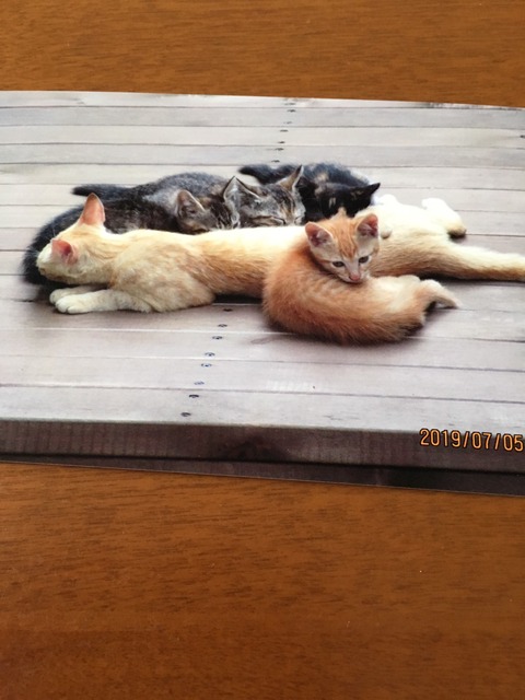 B12CB2F2-E34C-4899-9737-6CA4876560A3