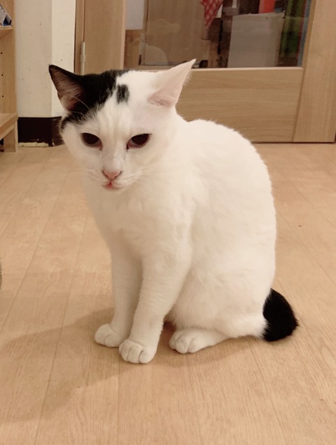 E2BD26EE-60DC-43DA-9446-BB39504F873A