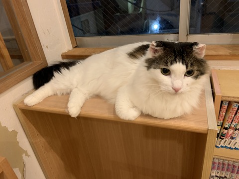 68A464FA-02C9-4907-A8F9-CC1CC5CA448D