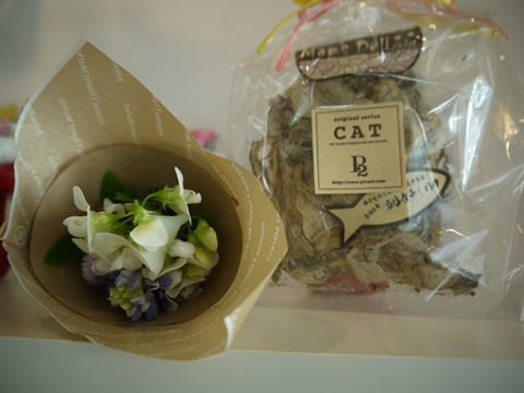 猫式ブログ~里親募集型猫カフェ