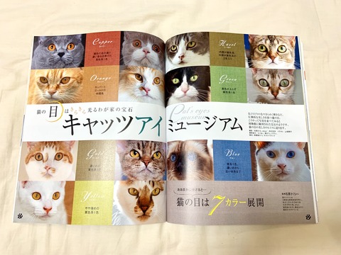 DA4D427B-4DB5-4D3F-BD02-A5C6AE07DB85
