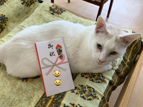 3E54754B-33A1-4255-8591-C1EF7925136B