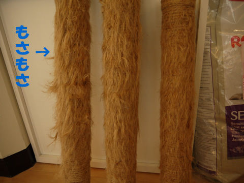 猫式ブログ～里親募集型猫カフェ