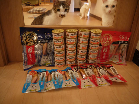 $猫式ブログ~里親募集型猫カフェ