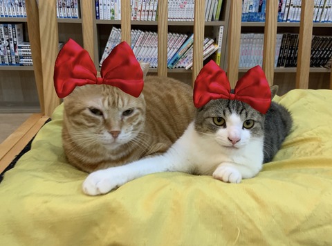 8195D4E3-F089-4379-86B4-5B9A3FA3C3E4