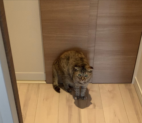 E398B043-12F9-40BE-9AEB-EB6491478B5C