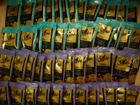 猫式ブログ～里親募集型猫カフェ