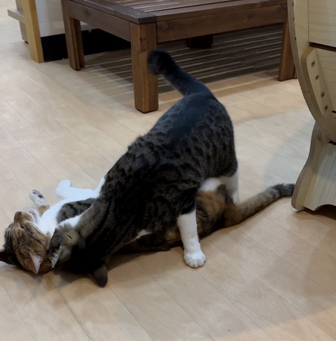 F880A6FF-423E-4522-9E86-C464EB3AB41A