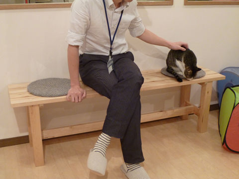 猫式ブログ