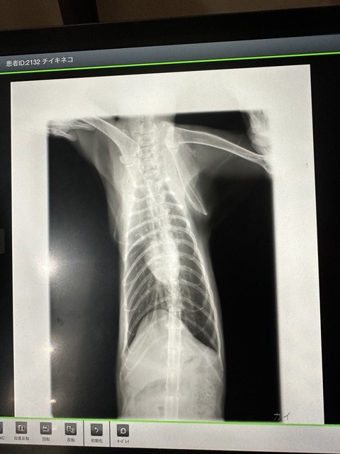 0D5CA586-DA26-4EA2-B585-366C0B6FAC0B