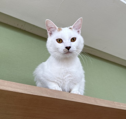 56D4ED45-4558-4663-B13C-44324EE50A4A