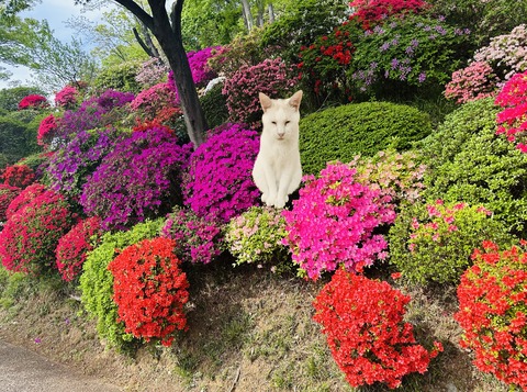 20CF50EE-D6C2-4A8F-B866-112F07FA290C