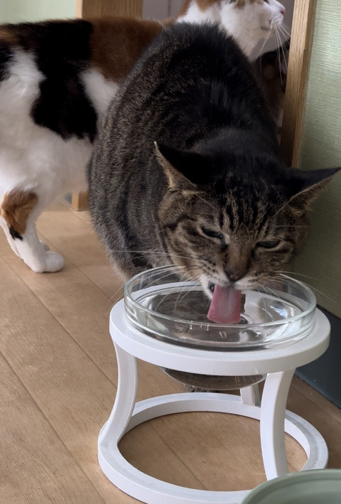 2EFE9FC6-D208-4AB1-A80E-31BF5158F264