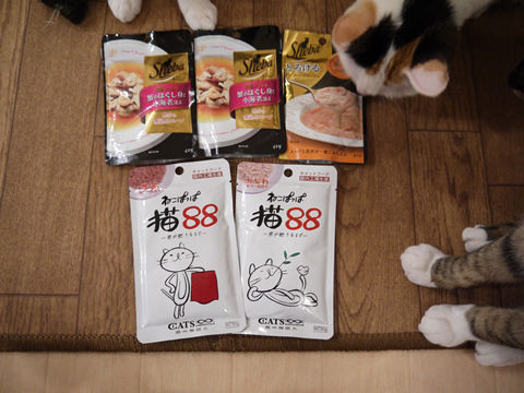 猫式ブログ~里親募集型猫カフェ