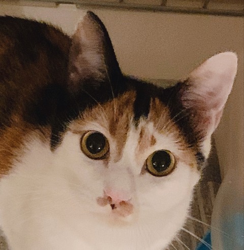 423CB562-7495-4CA6-9910-87F4E97FA25B