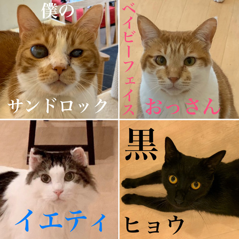 95B01D79-7E97-488A-B5EC-8EA858CC4518