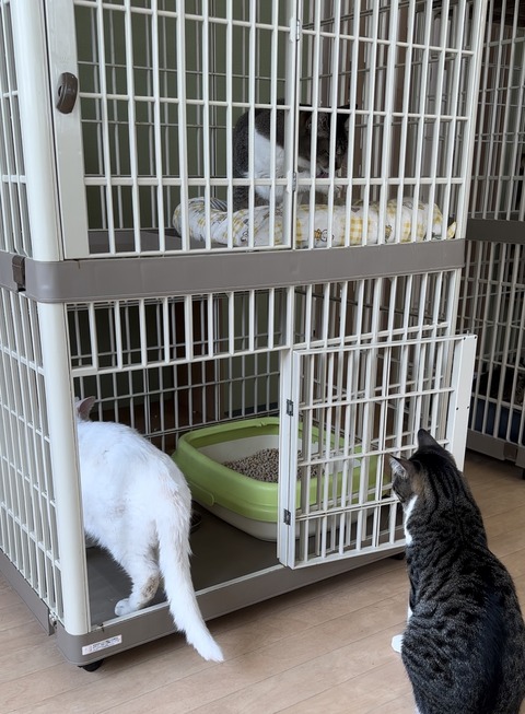 8B6BEE7A-2431-46EB-AFB2-5C33851C5CF2