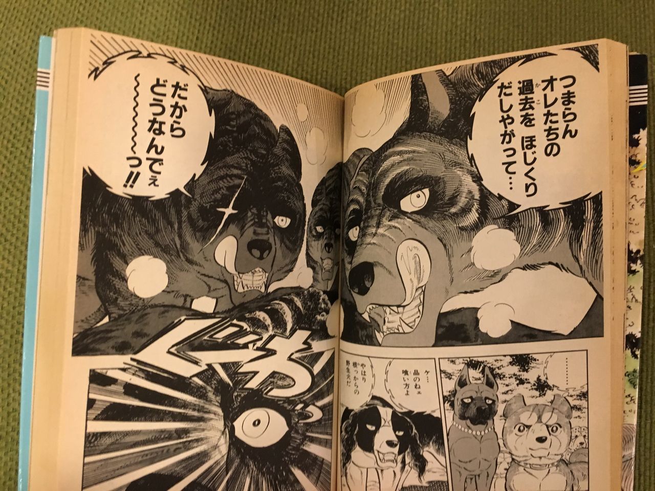お値引き交渉可能 流れ星銀牙 甲斐の魔犬 赤虎 中虎 黒虎 マスコット セット FaNeMa / 全商品