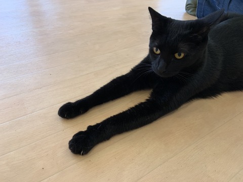 5DE802F4-6759-4A8D-AB4A-290000D2C1C1