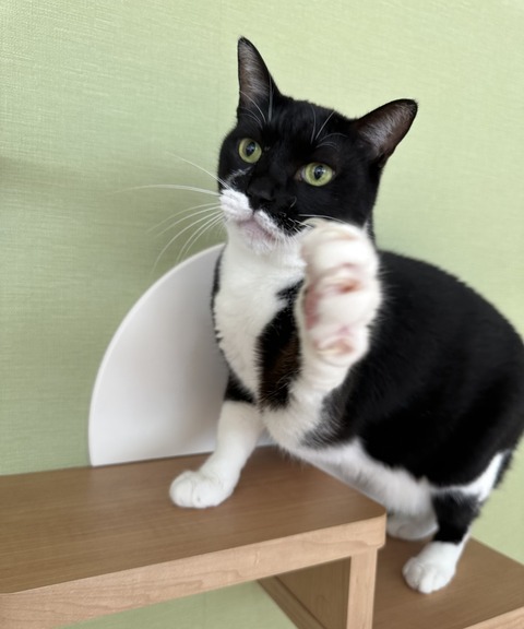 FF73FF11-4FE8-4BF9-8FAF-68D1371F7FAF