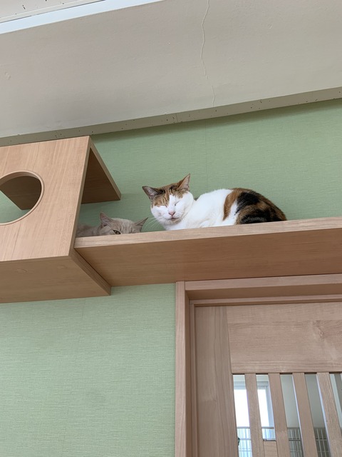 340A5F84-7149-4747-9D5A-0E0928A9A77B