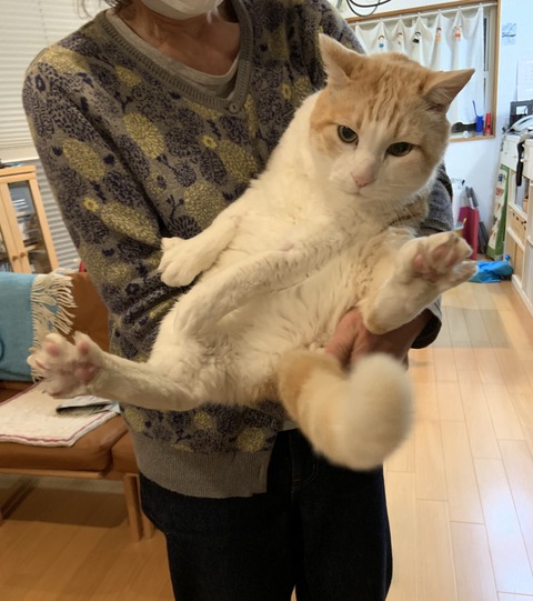 43200DA7-005C-4B4D-8839-C1FA018CE53D