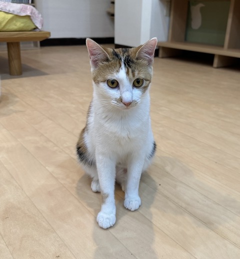 66EB047B-216B-4792-8DFE-982E1C687274