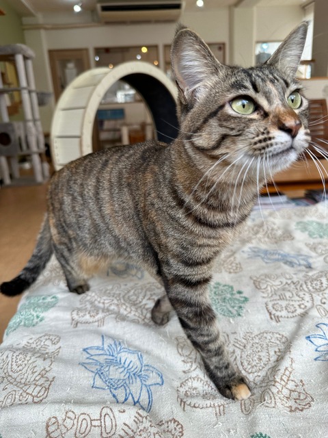 892104E7-6EDD-4354-A434-9549CEC173E9