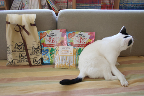 2018クリプレ_ヒビキ里親さん