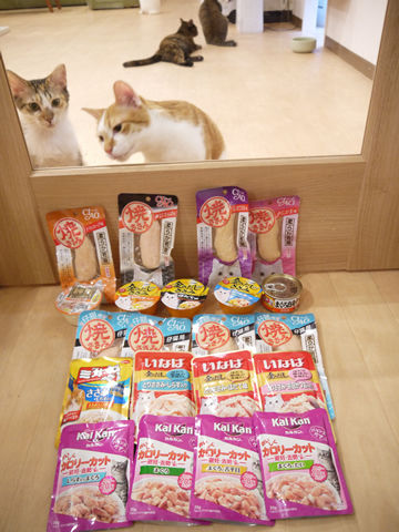 猫式ブログ~里親募集型猫カフェ