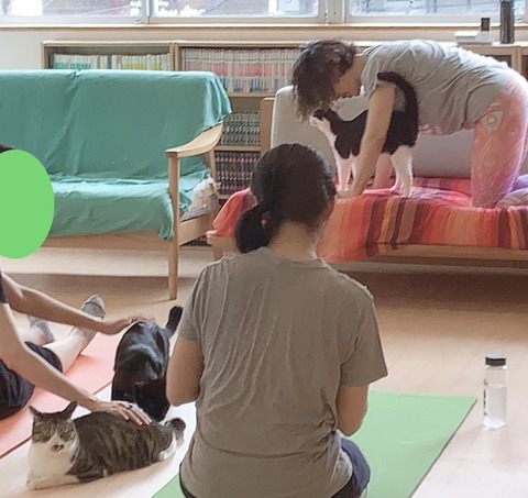 9E6B4319-368B-451E-9247-DDAF83C3513B