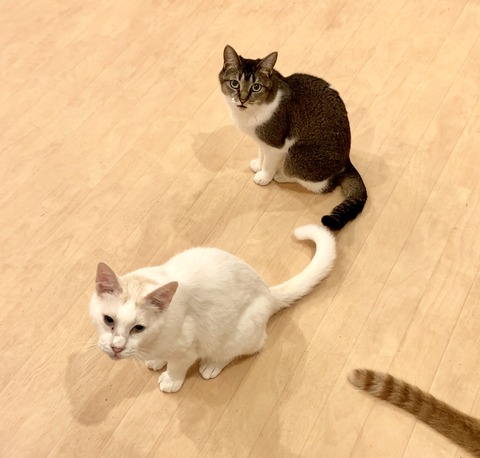 B899CD05-C5BD-40D5-A7C2-6F6F30F4AED8