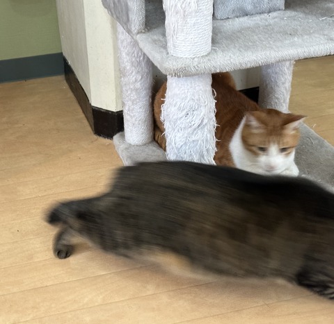 4B79B669-CC89-4F7F-A091-1558423CFFB8