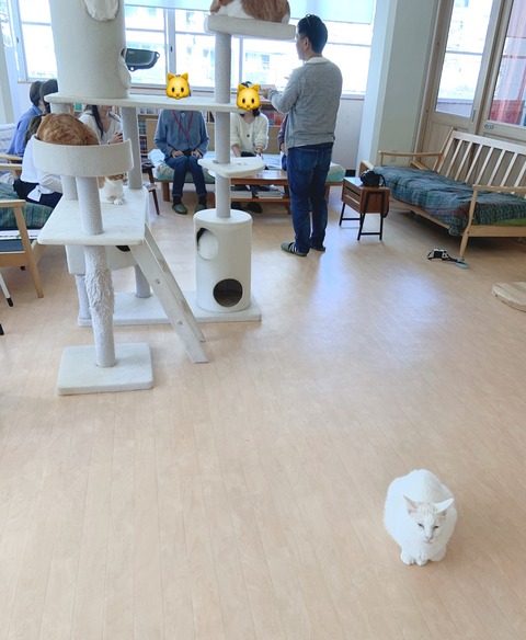 3C324CDF-67DD-40FD-A049-B004F59F577F