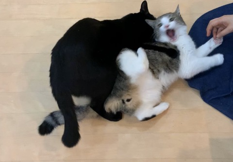 F45B5316-FEB6-4F2F-9881-268FEBF31583