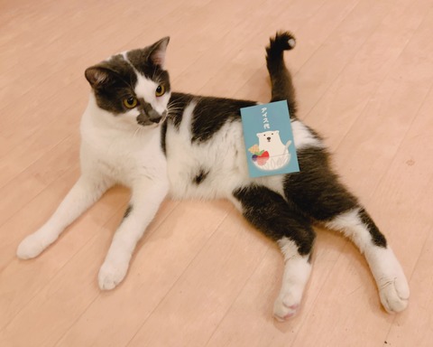 8AFF94C2-A6A6-469F-A58B-D1060876C2EC