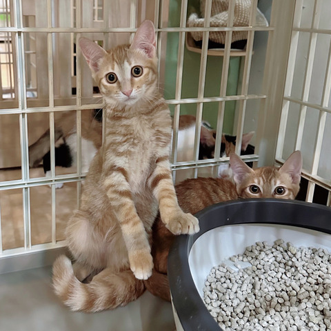 19DBD2A0-2022-4C4B-B8F9-131C0FD5D560