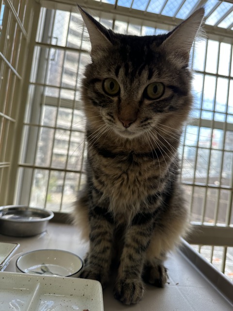 AEB63796-7B72-47F2-BB62-EC2EE6EC3699