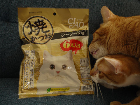 猫式ブログ~里親募集型猫カフェ