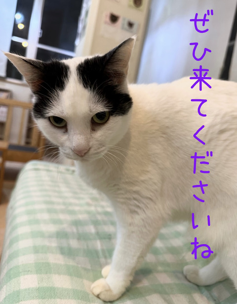 602F58FF-512F-496A-8096-19D31D089E11