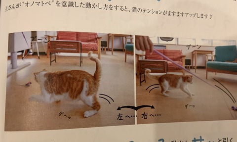 E863CE28-5256-47DA-87C9-025C0555C4E5