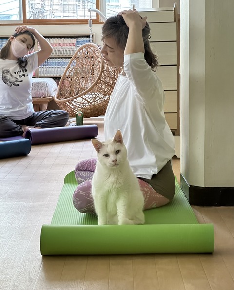 7722550D-9E7E-4236-9275-242D53BA269D