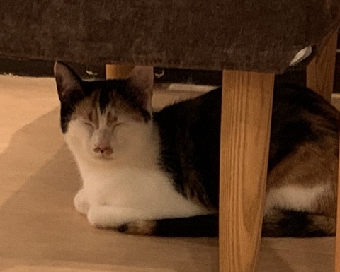 EAF95BC0-53DC-4ACA-9468-648FB42C43D8