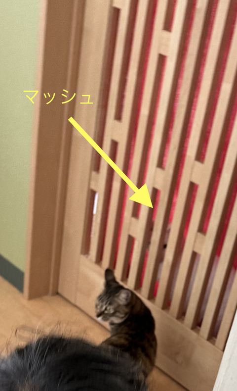 D073F1E0-0DE5-4B81-90AD-7D5833061122