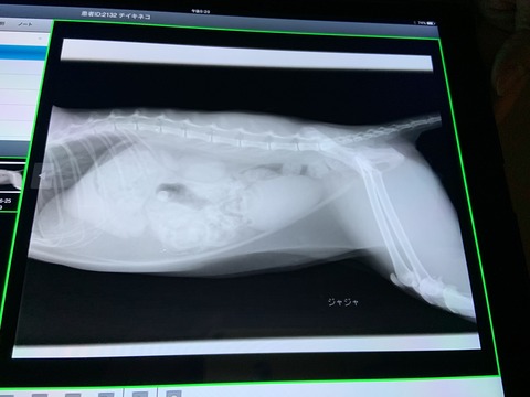 139EE83E-9B82-4A74-8C5B-164485CCA142