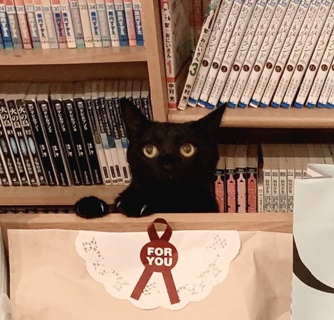 BD33F49A-A3FF-406C-A6B4-4C52696B8106