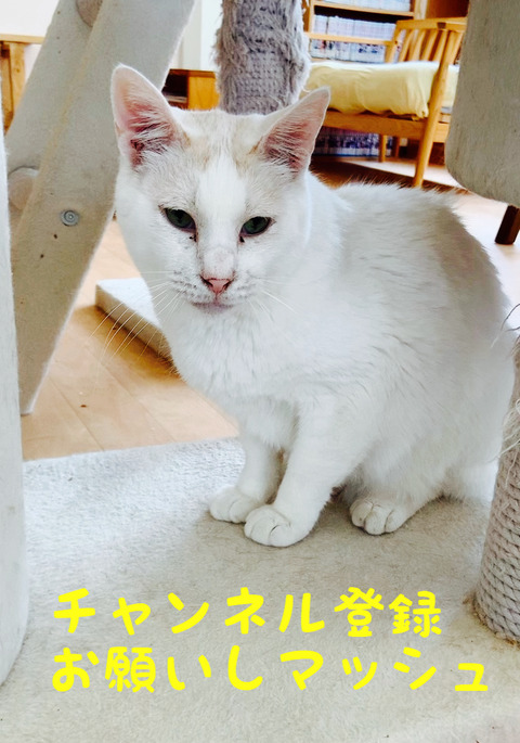 3CF8CAD6-C9B1-4200-AE97-05324564B960