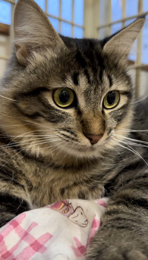 4891DEB5-433C-4E0C-86E0-44BCB505F88D