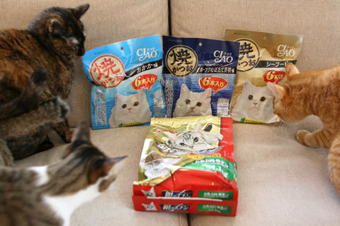 猫式ブログ～里親募集型猫カフェ