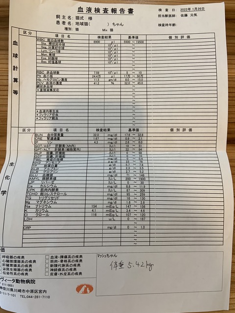 9A0DE0AD-245F-411C-B4E3-10BD82AE7185